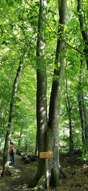 photo-1