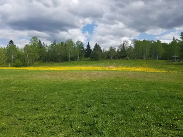 Four Seasons Trail Association