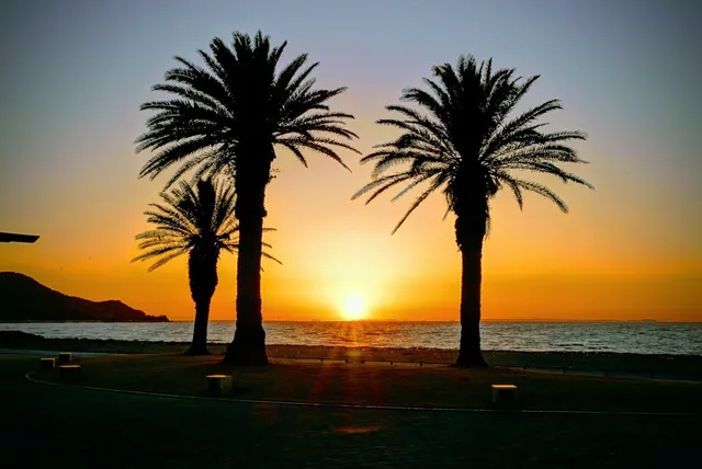 Shiroya Seaside Park