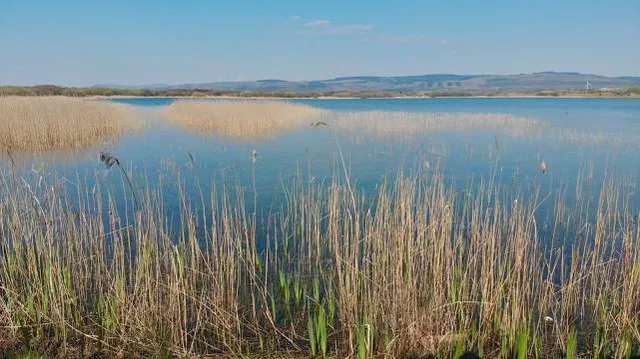 Kenfig Pool
