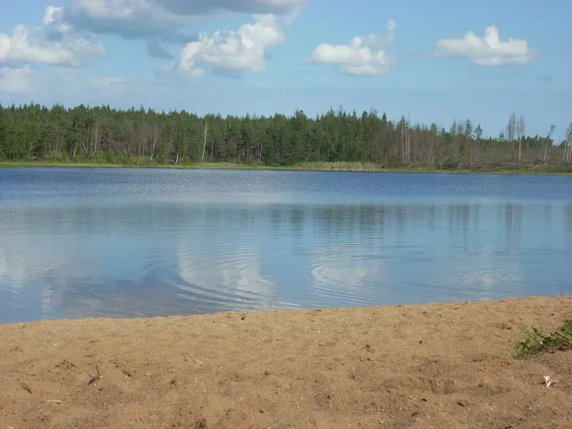 Liivjärv