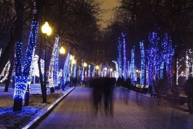 Russell A Freeman Park