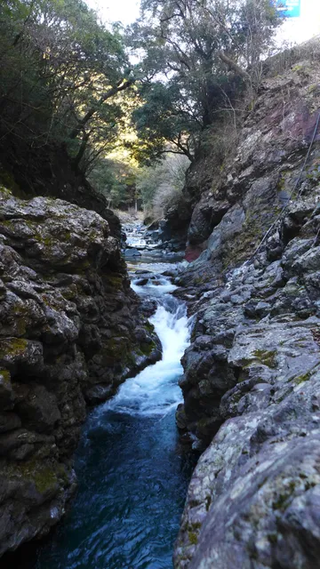 キジノヨウガンケイコク