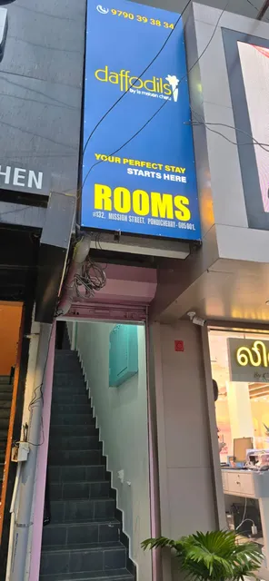 Daffodils By La Maison Charu