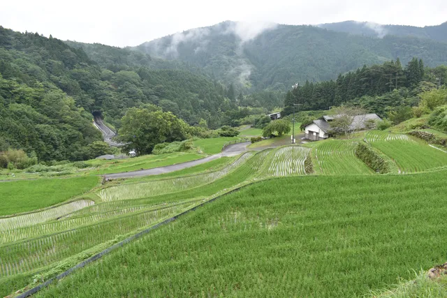 Kanzaiko thousand Rice Terraces
