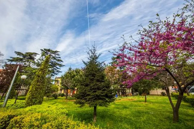 Enerhodar urban hromada