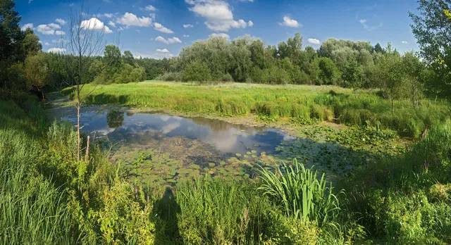 Zalewy Nadwarciańskie