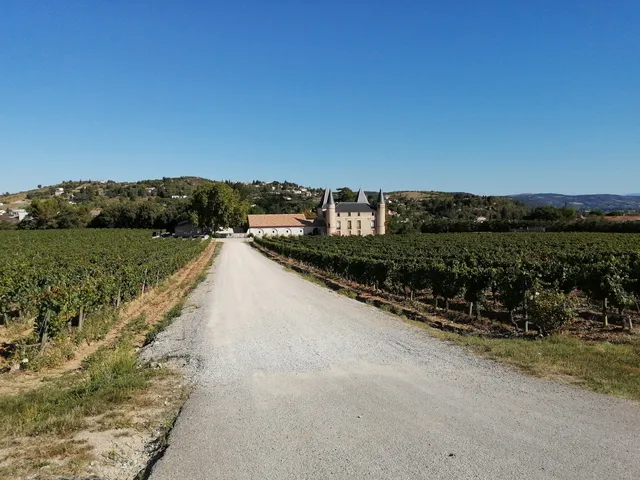 LE CHATEAU DE FLANDRY