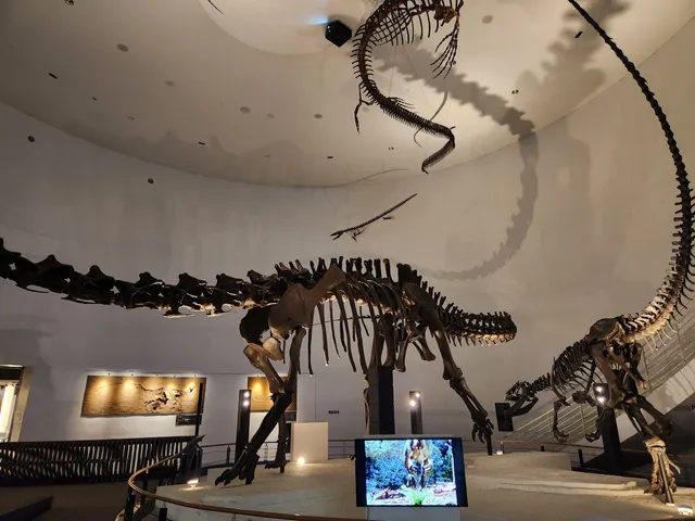 Mokpo Natural History Museum