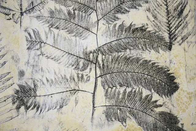 Musei Civici di Monza