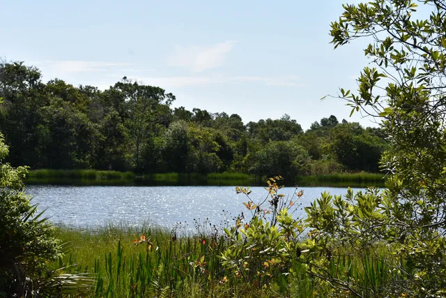 Bell Creek Nature Preserve