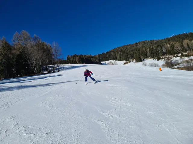 Ski-Waldheimat Hauereck