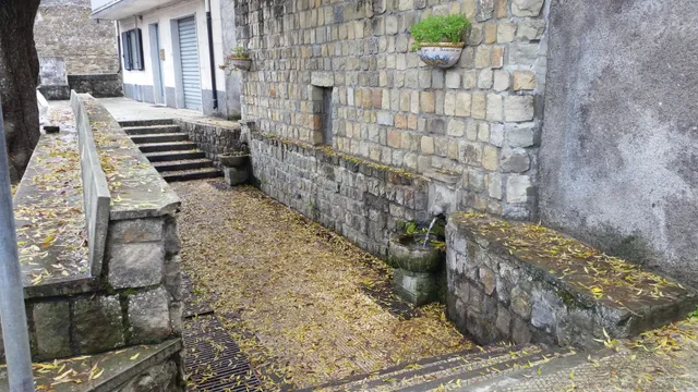 Ente Parco Dei Nebrodi