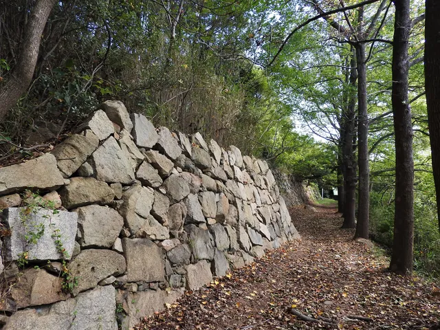 Shimotsui Castle Ruins
