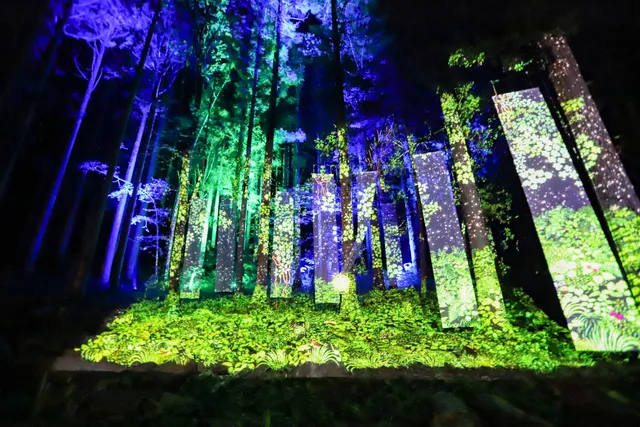 チバームランド 光の切り絵ナイトウォーク