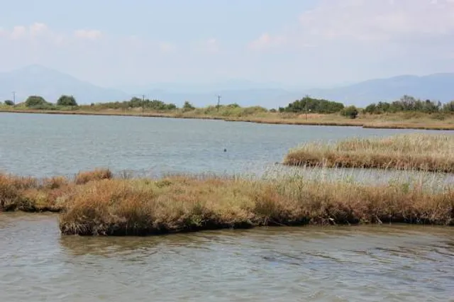 Nestos National Park