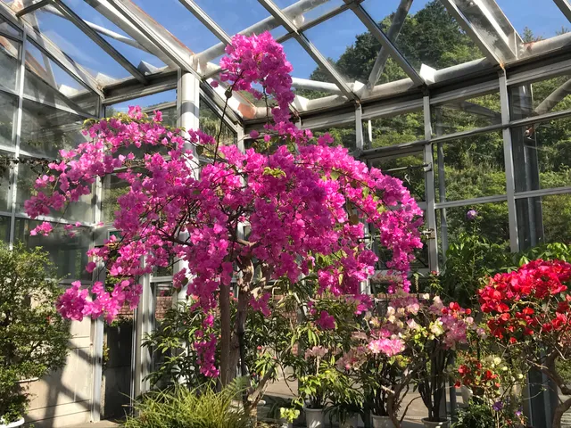 Sano Botanical Garden