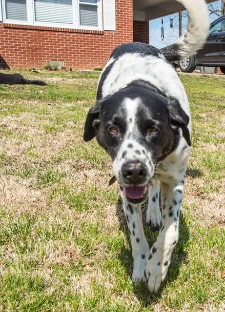 Nido & Mariana Qubein Children’s Museum