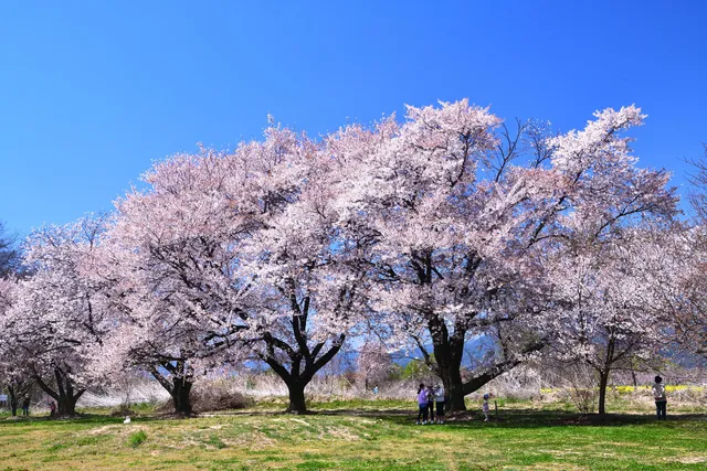 Chikumagawafureai Park