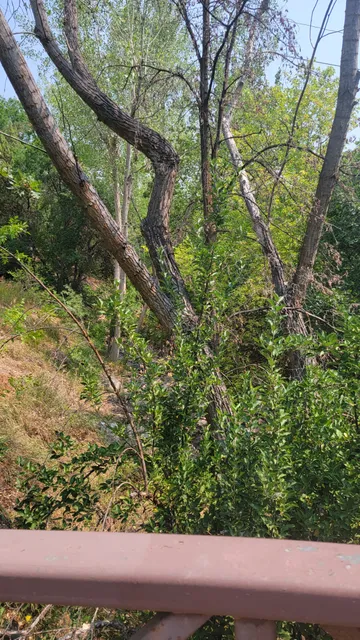 photo-1