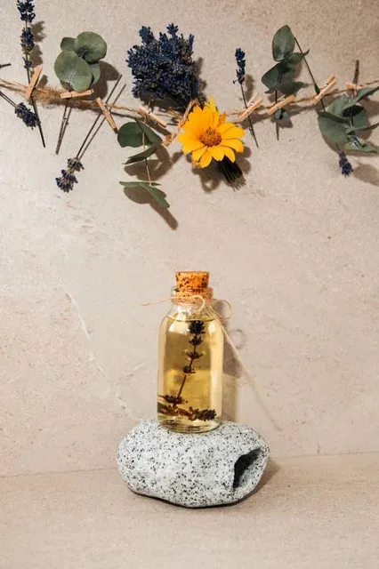 Praia Ponta dos Fachos