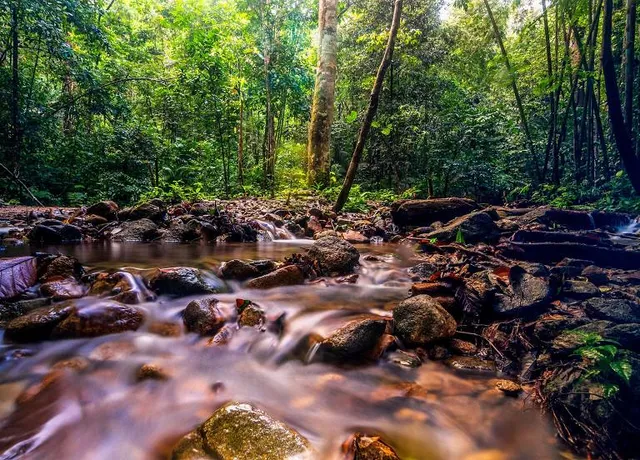Taman Eko Rimba Kanching Waterfalls