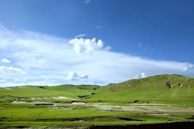 photo-1