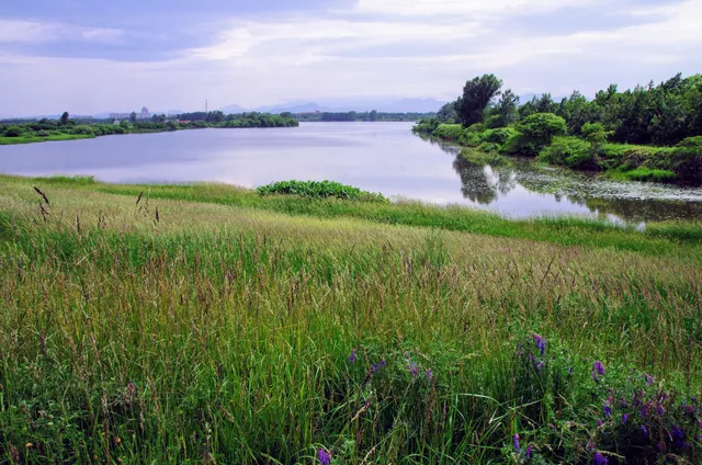 Barato River Ryokuchi Park