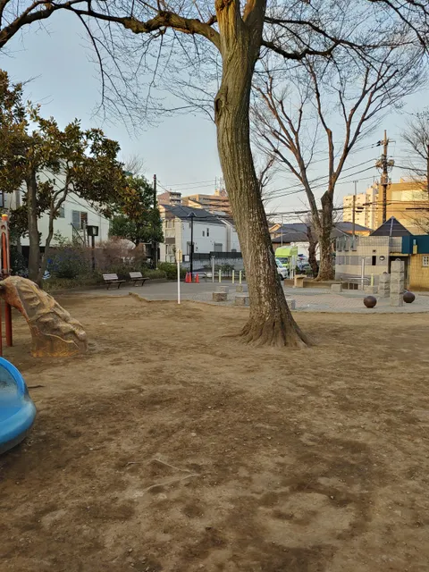 photo-3