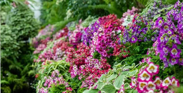 Cuningham, Townend and Garrick House