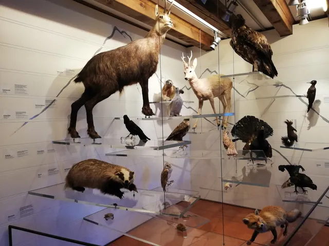 Museo di Storia Naturale del Baldo e del Garda