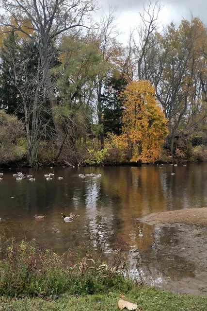 Strathroy Conservation Area