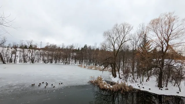 L'Amoreaux North Park