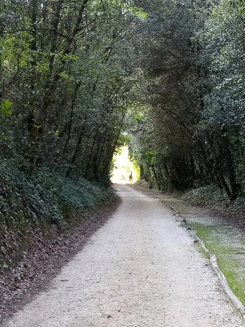 Riserva Naturale Integrale Bosco Nordio