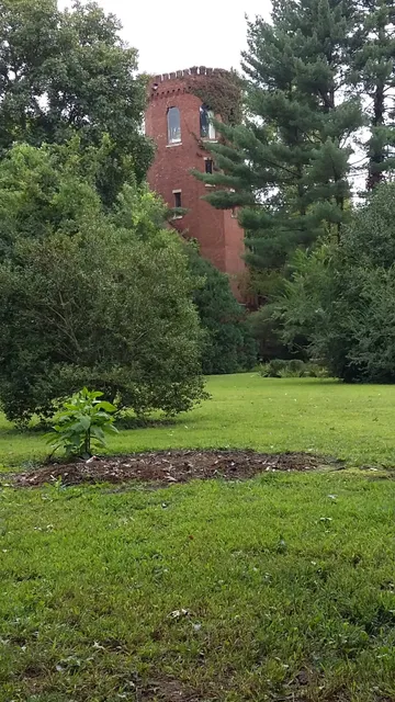 place image