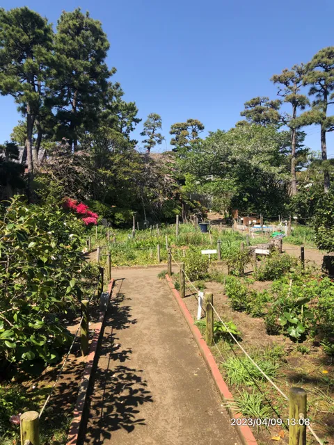 Himuro Camellia Garden