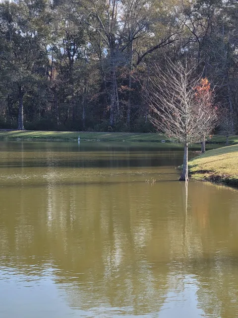 Ponchatoula Area Recreation District 1