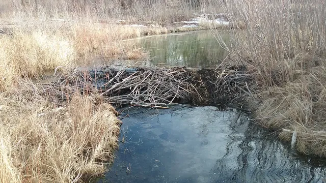 Blue Hole State Wildlife Management Area