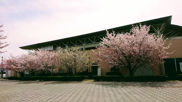 photo-2