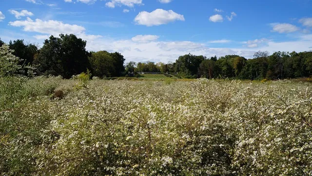 Hillsborough Township