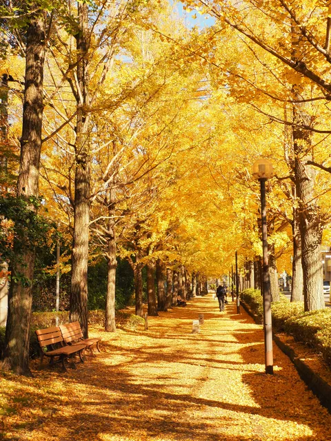 Utsunomiya Station East Park