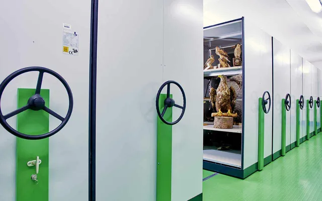 Sammelsurium - Museum der Westlausitz