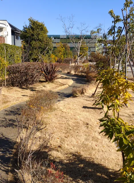 photo-2
