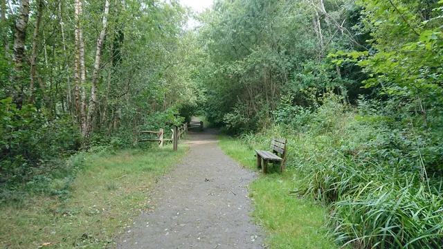 Crowborough Country Park