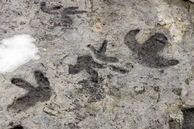 Dinosaur Ridge Main Visitor Center