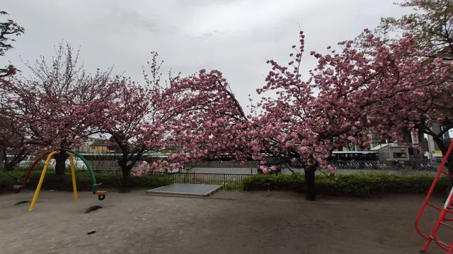 Suzuyahigashi Park