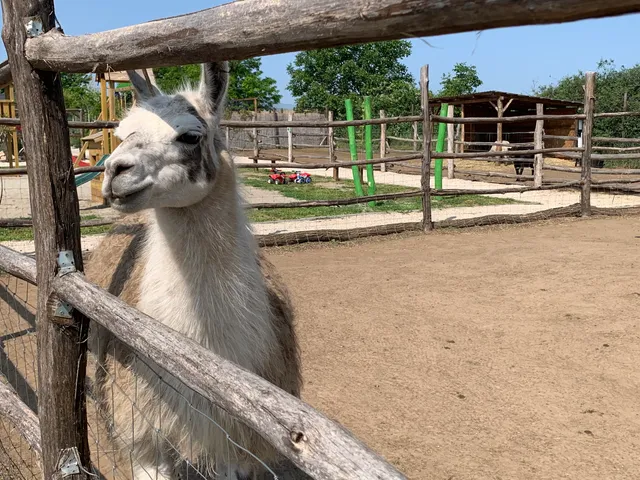 Zoo Előszállás- Egzotikus Állatpark Előszállás