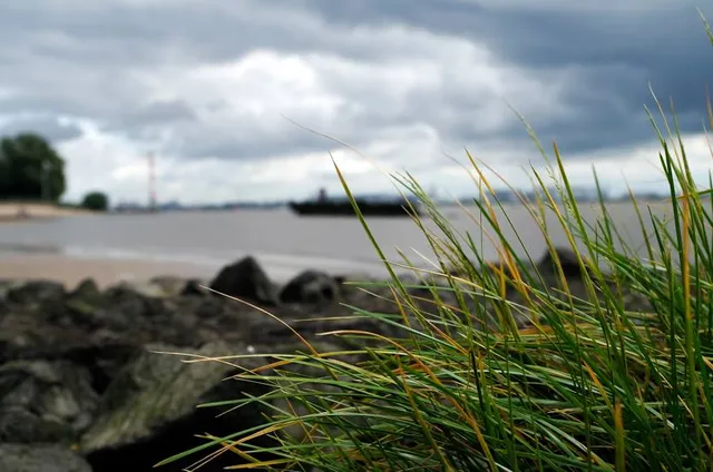 Playa de Mar Chiquita