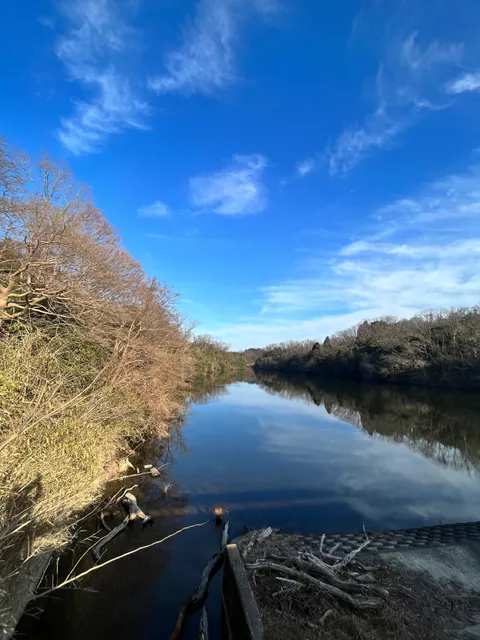 府民の森 むろいけ園地