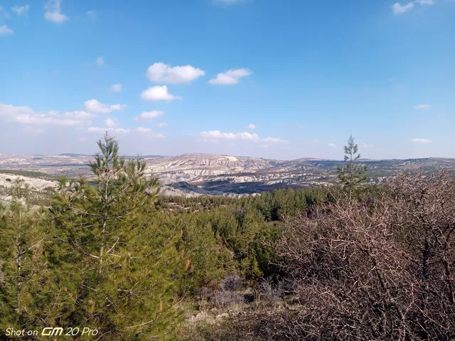 place image